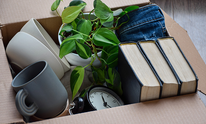 Examples of boxes packed with books, dishware, and clothes.