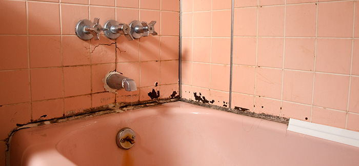 Caulk and wall material securing a tub to a wall.