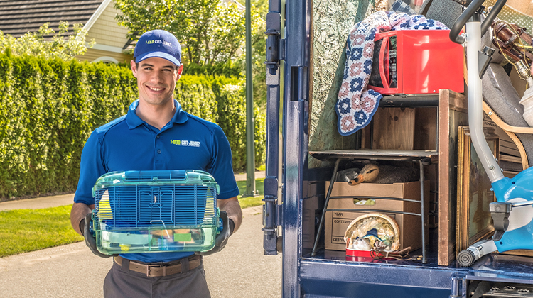 1-800-GOT-JUNK? crew removing animal items